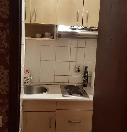市中心河畔酒店 公寓 *